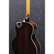 Ibanez JSA20VB - Single Cutaway Joe Satriani Signature Acoustic Guitar - Vintage Burst Online Sale