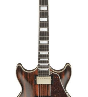 Ibanez AM93MENT Artcore Expressionist Series Semi Hollow-Body Electric Guitar (Natural High Gloss) Online Sale