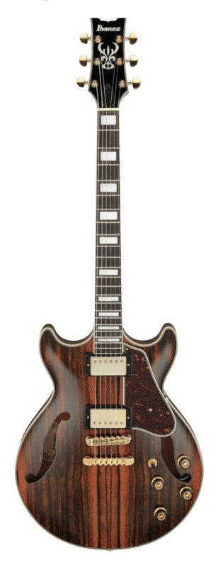 Ibanez AM93MENT Artcore Expressionist Series Semi Hollow-Body Electric Guitar (Natural High Gloss) Online Sale