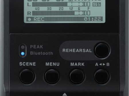 Roland R-07 Black Portable Audio Recorder on Sale