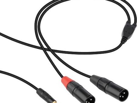 Digiflex HIN-1K-2XM-10 1 8 To Stereo XLR Male - 10 Foot Cheap