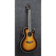 Ibanez JSA20VB - Single Cutaway Joe Satriani Signature Acoustic Guitar - Vintage Burst Online Sale