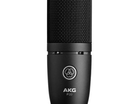 AKG P120 Cardioid Condenser Microphone (Black) For Discount