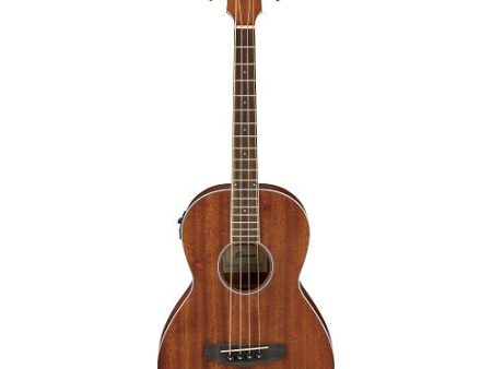 Ibanez PNB14EOPN Performance Acoustic Bass with AEQ-2T Preamp - Open Pore Online Sale