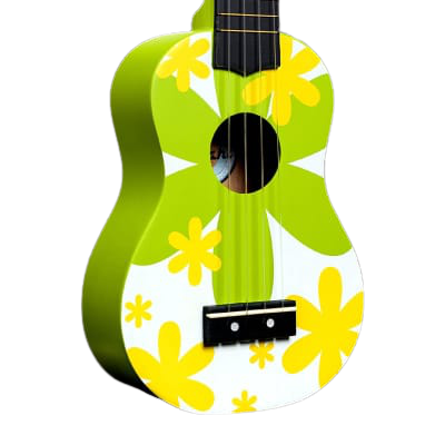 Amahi DDUK6 Soprano Ukulele (Tropical Green Flower) Sale