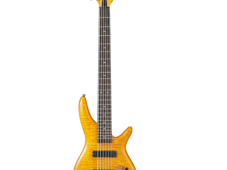 Ibanez GVB1006AM - 6 String Electric Bass with Bartolini Pickups and Aguilar EQ - Amber Online now